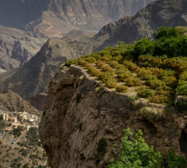 Jabal Akhdar 4