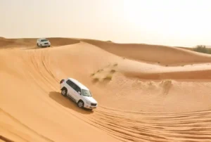 Dubai Desert Half-Day Tour